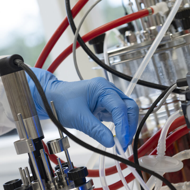 Photo Biotech Bioreactor 2