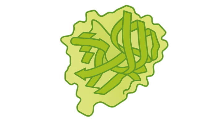 TE Vprotease