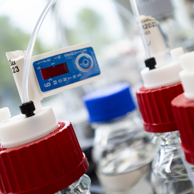 Basic Pharma Generic1