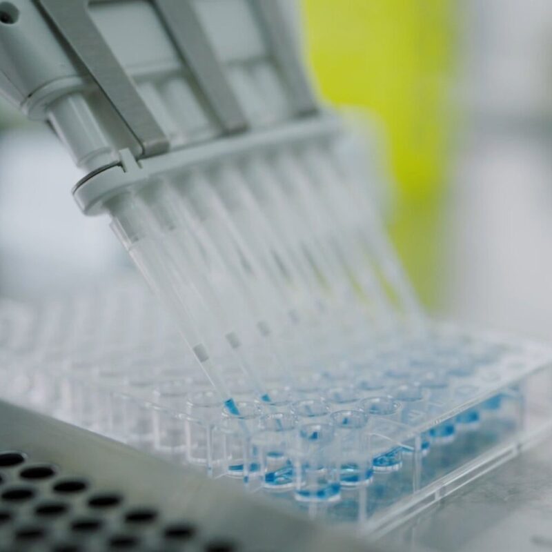 Laboratory3